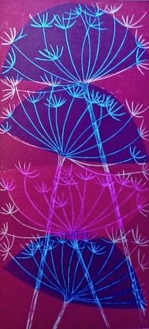 Cow Parsley