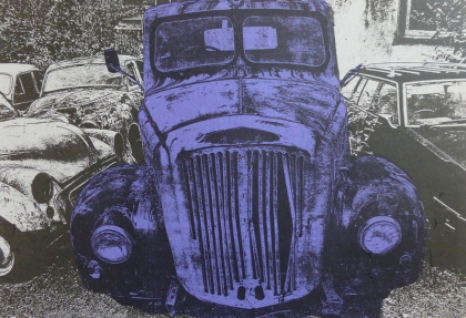 Kiwi Car Lot I Purple