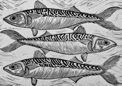 Fleetwood Mackerel