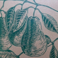 Pears - Green