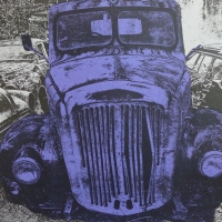 Kiwi Car Lot I Purple