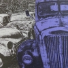Kiwi Car Lot I Purple