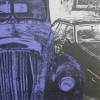 Kiwi Car Lot I Purple