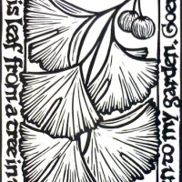 Gingko