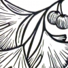 Gingko