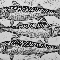 Fleetwood Mackerel