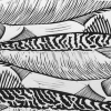 Fleetwood Mackerel