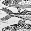 Fleetwood Mackerel